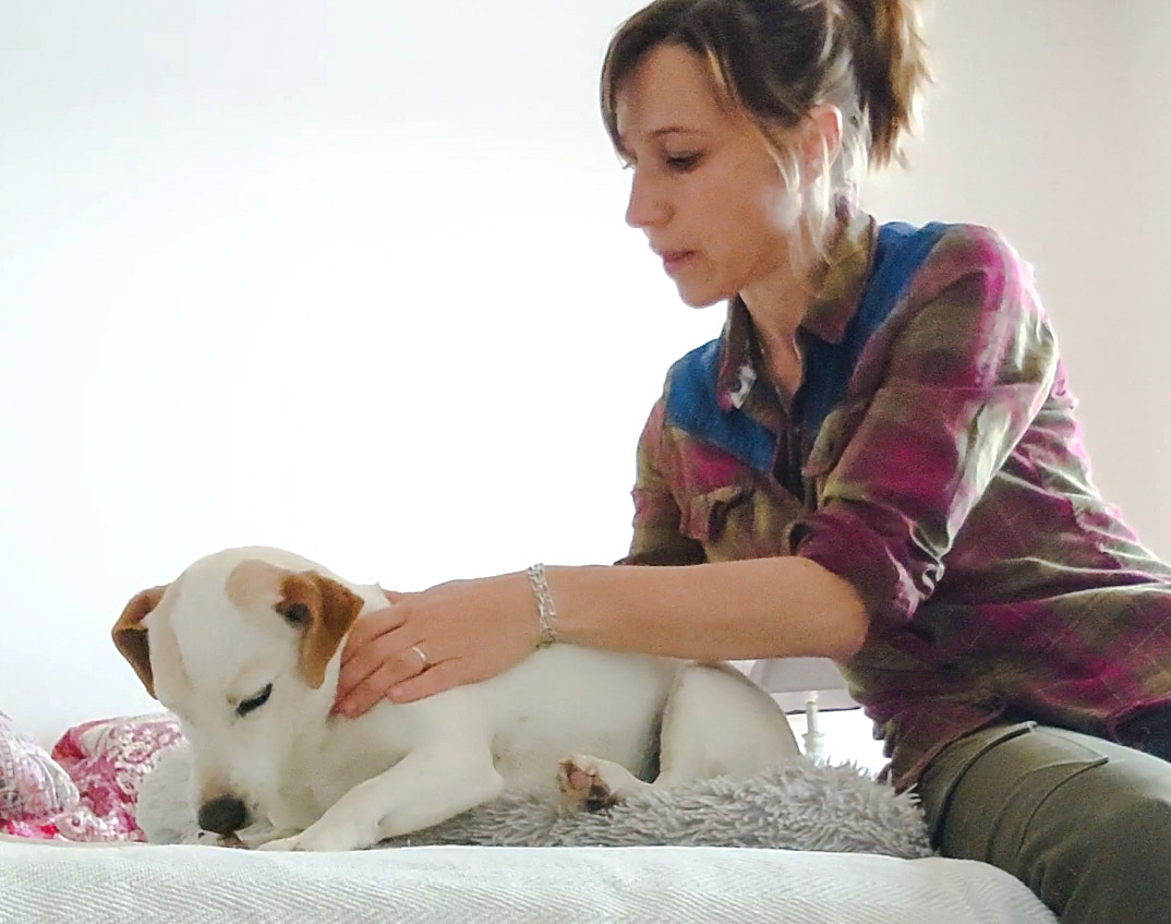 Bien-être Sybille - Massage comportemental à domicile pour les chiens